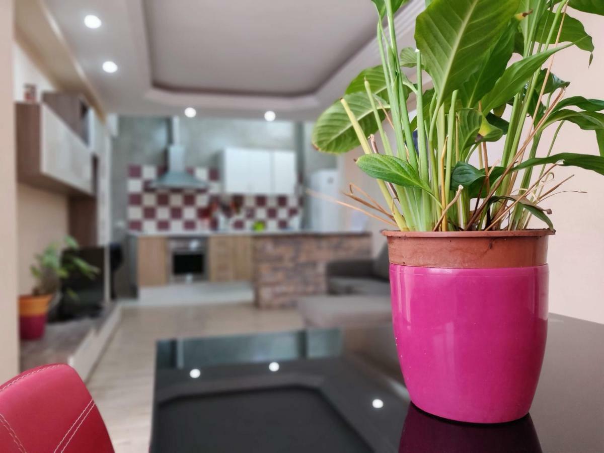 Cactus Los Cristianos Villa Los Cristianos  Exterior photo